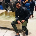 Relvis
