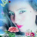 Vero