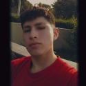 noi busca noies com Moises 
