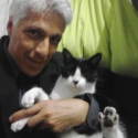 Free chat with Juan Domínguez