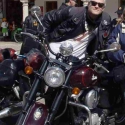 Quinoharley