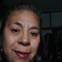fer amigues com Ruzflower