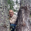 José Manuel Cobos Ál