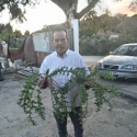 Antonio Valle