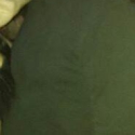 Angelyoy