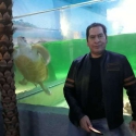 Manuel Mijares 