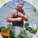 Jorge