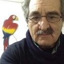 Martin 