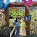 meet single women like Viviana 