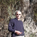 Alfonsocarlos