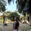 Dariusz