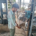 Sajjan Kumar