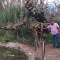 Jorge Antonio Asmat