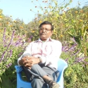 Chat for free with Arun Arun Kumar