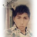 Anthonii