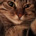María