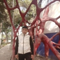 Lelis