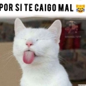 free chat with men with Uruguayo 