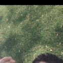 noi busca noies com L E