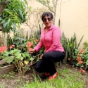 Vicenta 