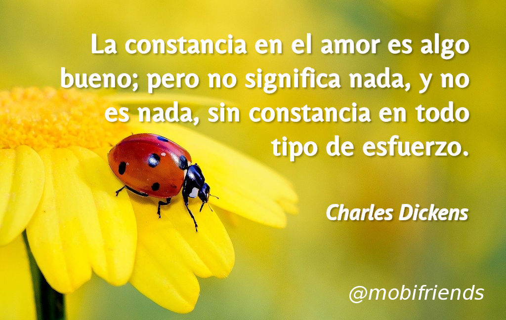 Constancia Amor Esfuerzo Persistencia Insistir