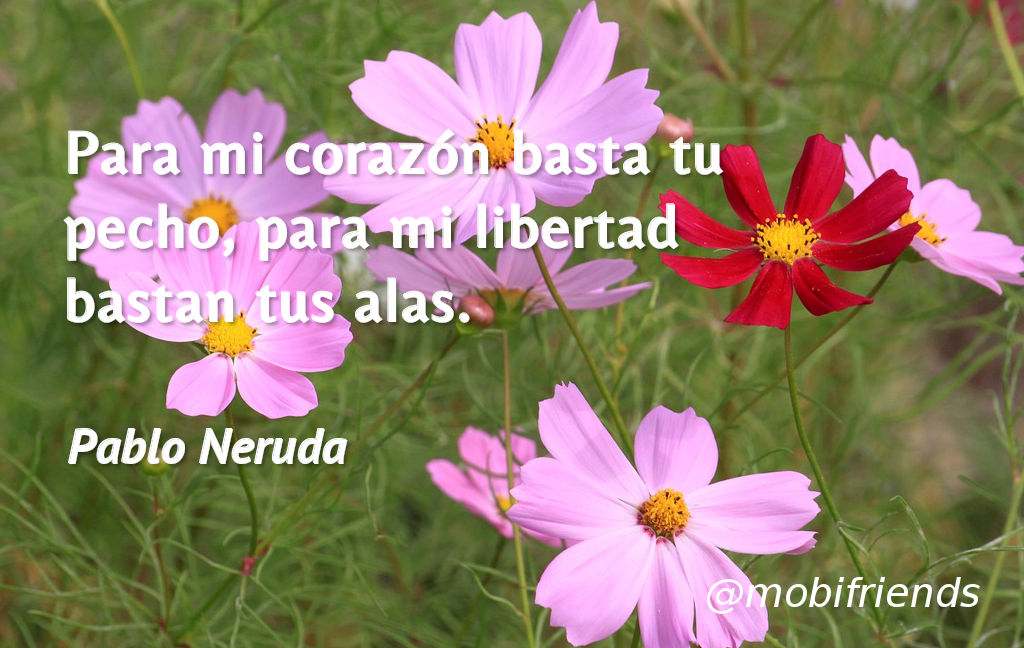 Corazon Pecho Libertad Alas Amantes