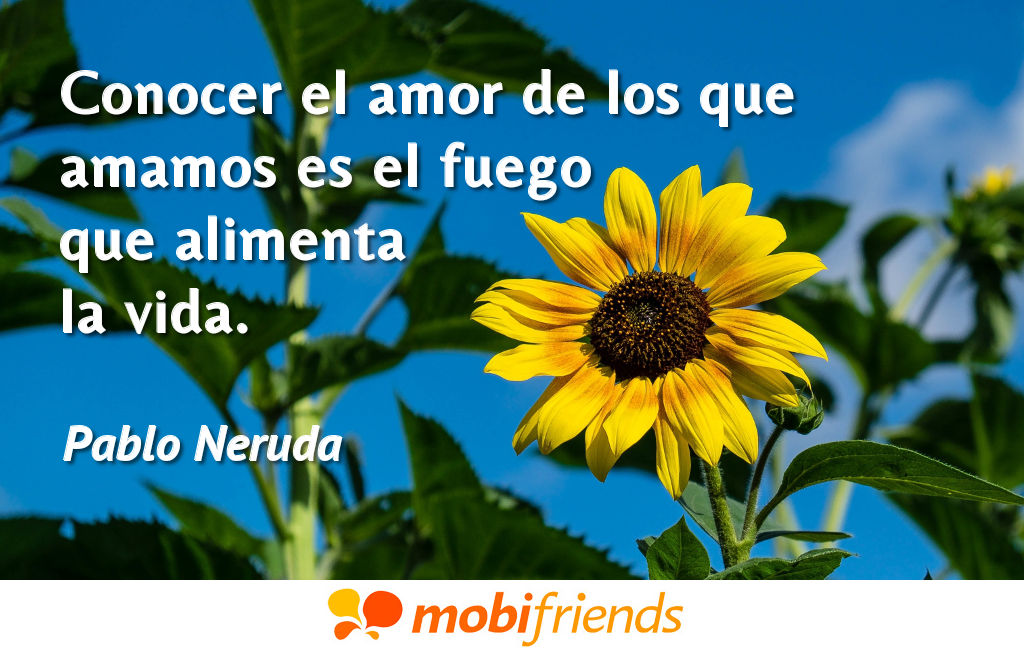 Frases De Amor De Pablo Neruda Mobifriends