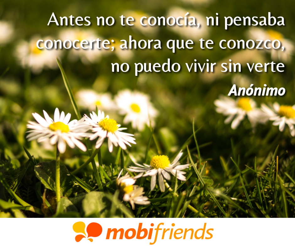 Frases para enamorar conocerte