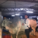 conocer gente con foto como Diego